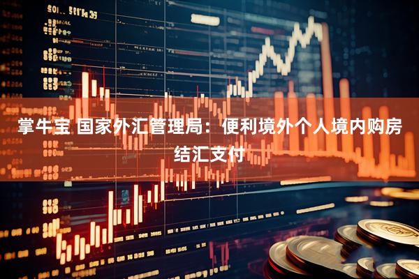 掌牛宝 国家外汇管理局：便利境外个人境内购房结汇支付