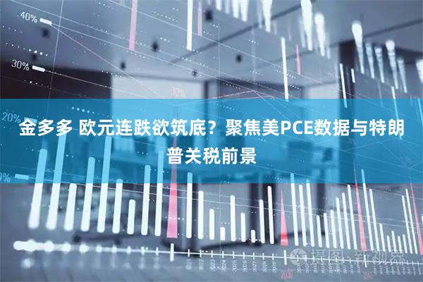 金多多 欧元连跌欲筑底？聚焦美PCE数据与特朗普关税前景