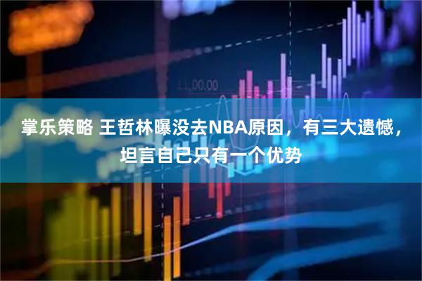 掌乐策略 王哲林曝没去NBA原因，有三大遗憾，坦言自己只有一个优势