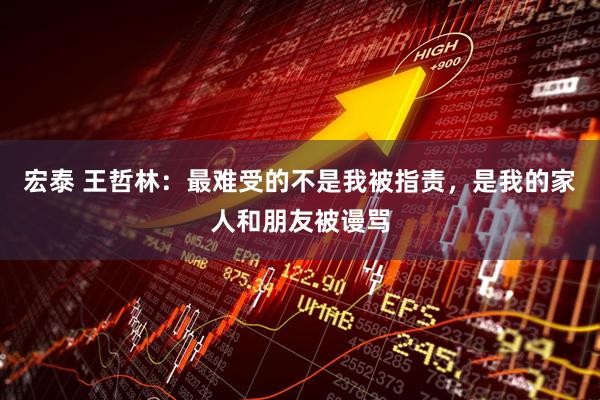 宏泰 王哲林：最难受的不是我被指责，是我的家人和朋友被谩骂