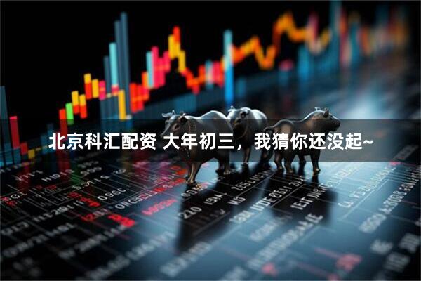 北京科汇配资 大年初三，我猜你还没起~